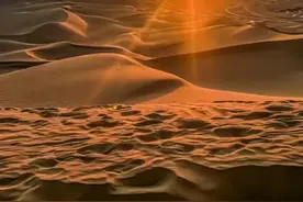 有病的人如果没有好的心态就只能当一只待宰的羔羊图片