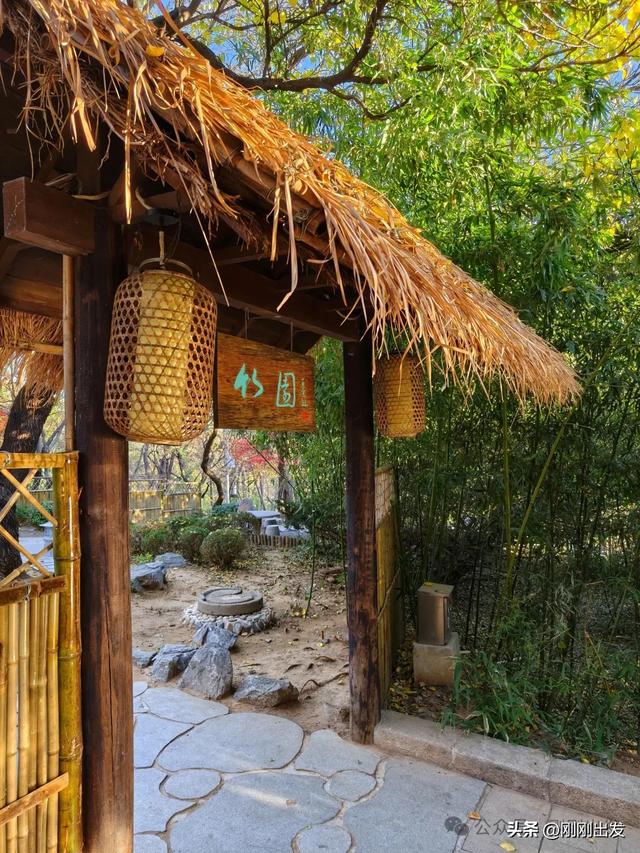 大连两片超美竹林，第二个很少有人知道