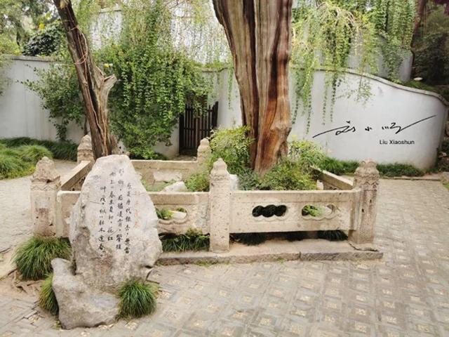 江苏这座城市“太矛盾”？明明地处长江以北，却总被认为是江南？