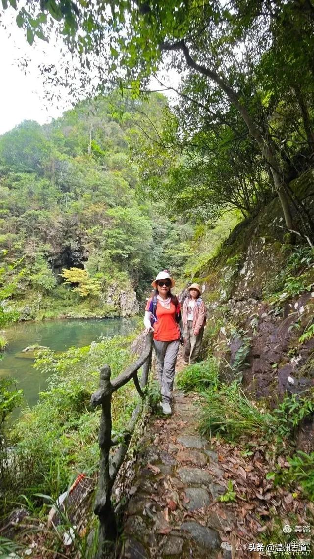 隐藏在温州深山幽谷的绿野仙踪，免费开放，知道的人却极少！