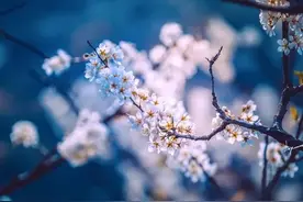 网名昵称90个，男女网名简单气质，霸气高冷伤感，内涵有深意图片