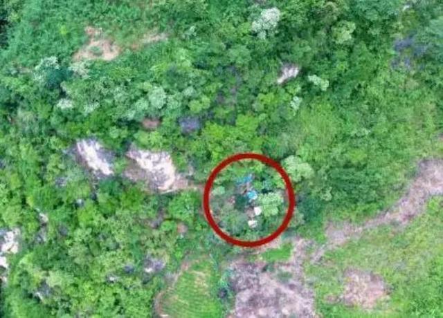 云南山中出现“野人”，高达1.75米，警方抓获后激动不已