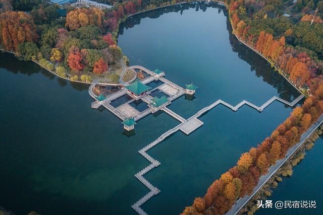 武汉不止这五千亩红叶，最大赏秋地绝了！