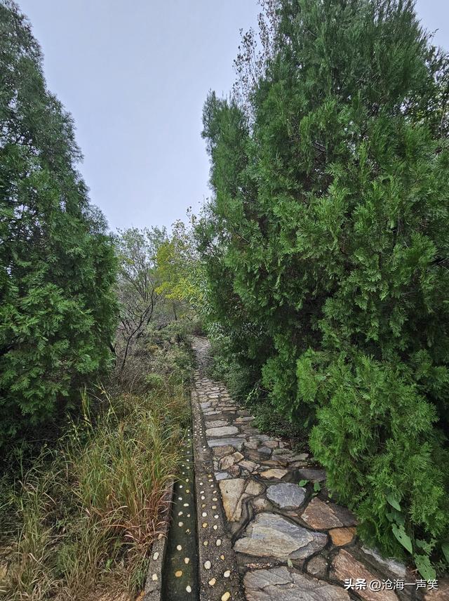 山里那么大，我想去看看，一起打卡大山冬季游吧