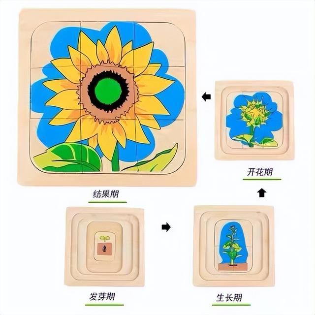 十一别挤热门景点啦！北京这处「植物乐园」藏满闯关、市集、魔术秀~