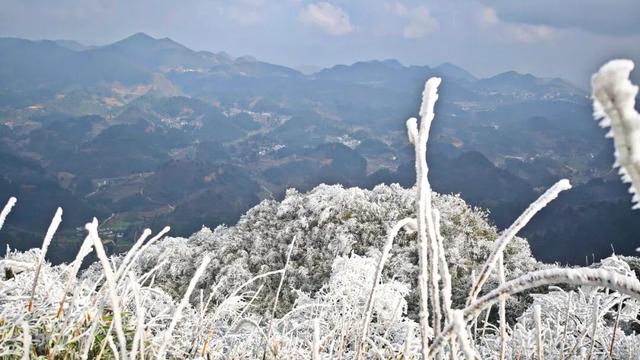 雪景 │ 美到词穷！仁怀首场雾凇惊艳上线