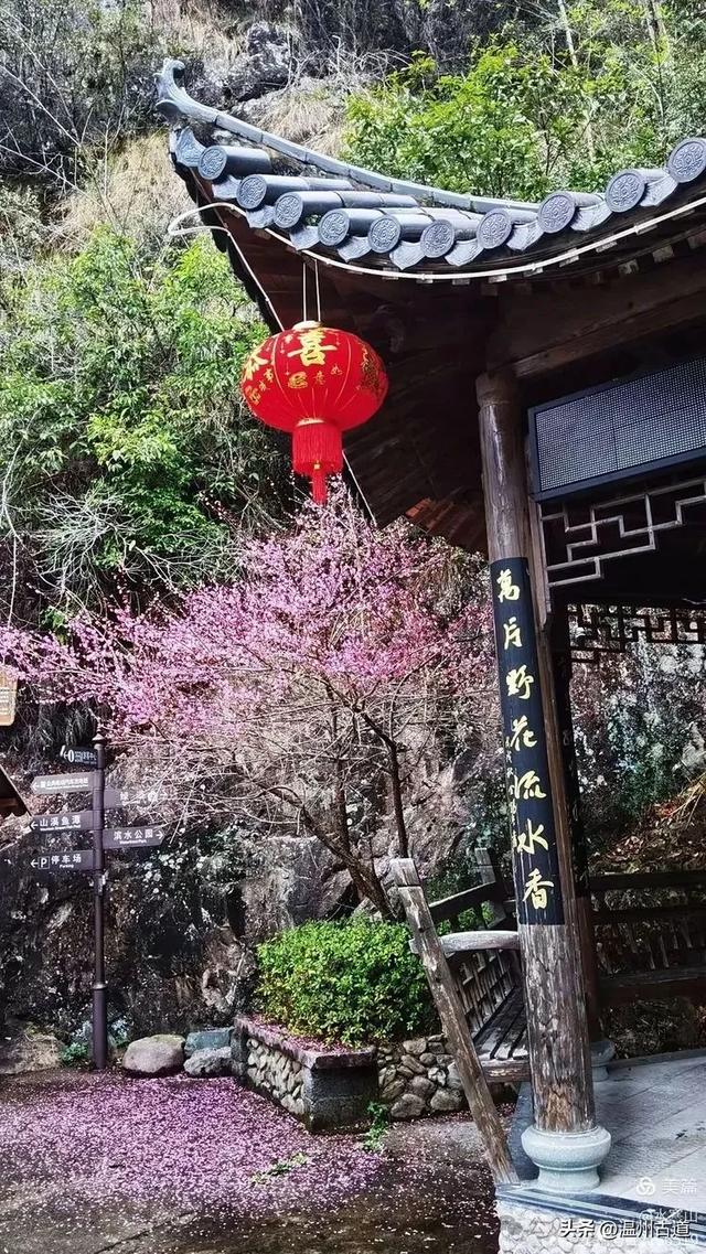 醉美溪下,楠溪源头桃源里!这个永嘉离天最近的乡你可去过?