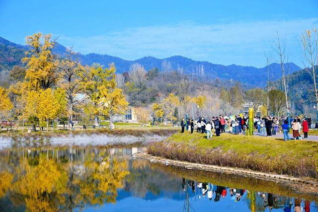银杏谷旅游度假区缘何火爆出圈？
