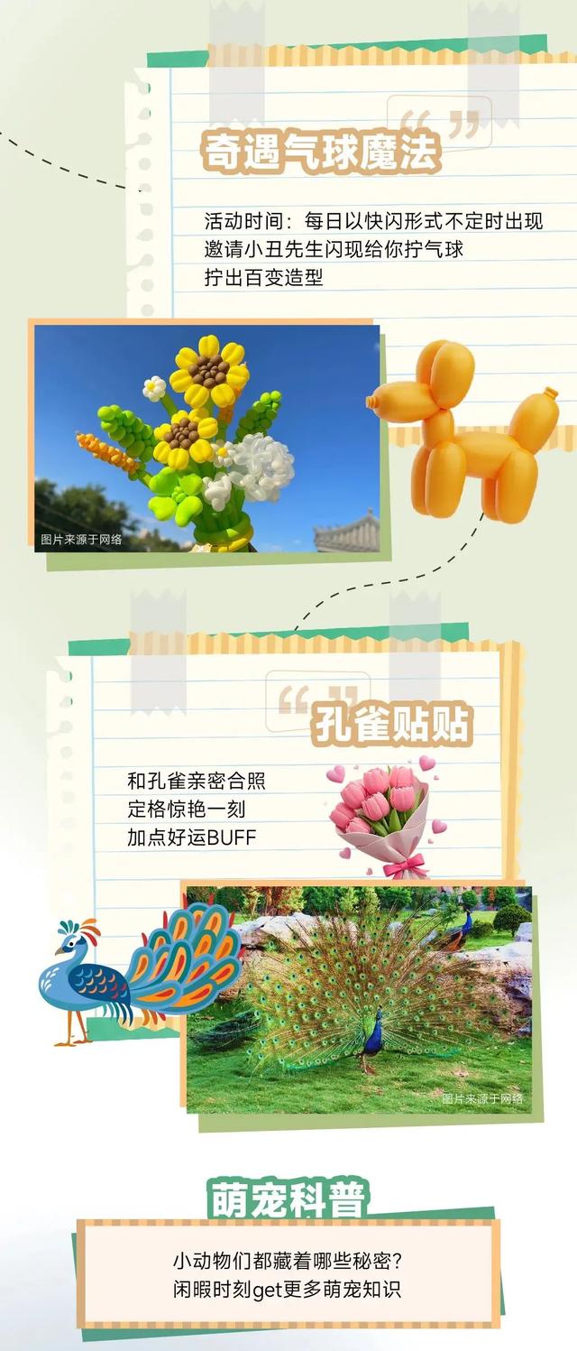乘着高铁游白山 | “百区百景”打卡攻略之长白山华美胜地