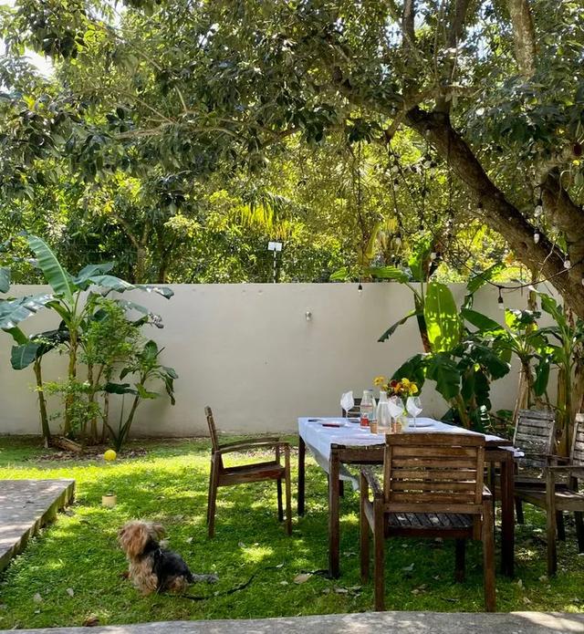 有个院子,回家就是度假