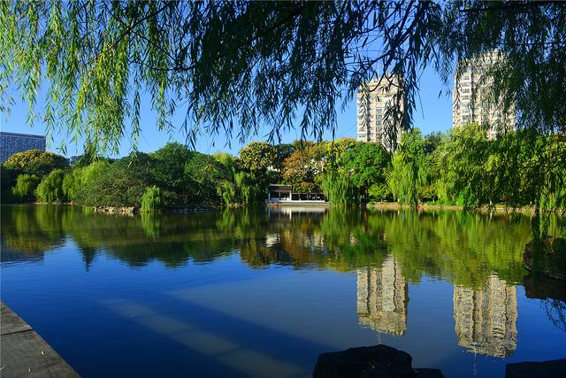 【老丁游记】20251002-1012 国庆假期南游记08