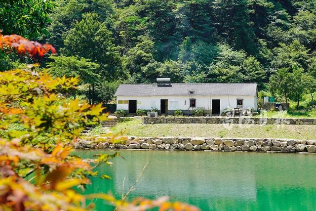 富阳3条古道，全省出名了！经过你们村吗？