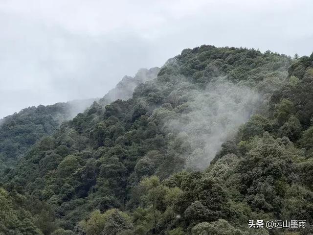 攀登昆明十峰之宜良老爷山，经历密林大雨考验，惊喜交加，难忘