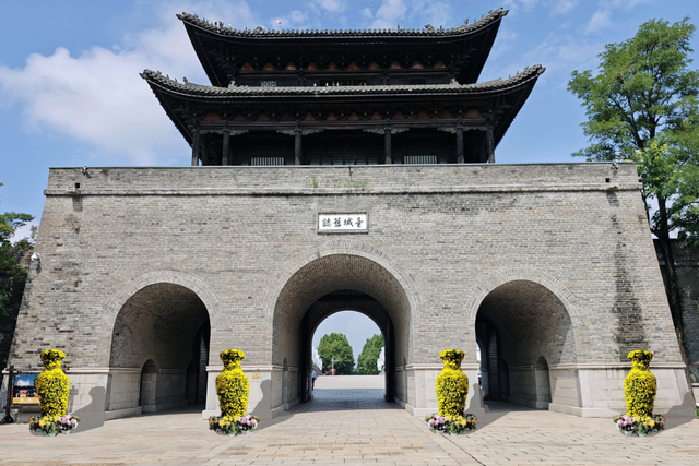 【金秋盛宴】国庆相约台儿庄古城，菊花展即将惊艳绽放！