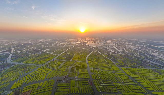 限时 1 个月 湖北荆门的油菜花海 比婺源人少 拍照根本不用找角度