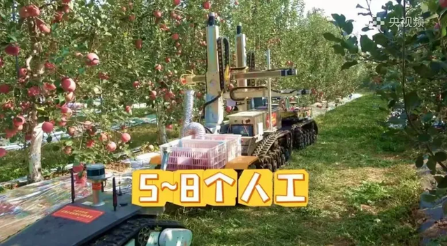 2025世界机器人大会，来了一位“干农活”的“摘苹果机器人”