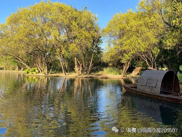 腾冲秘境：火山沉寂，绽放的地质与自然之美