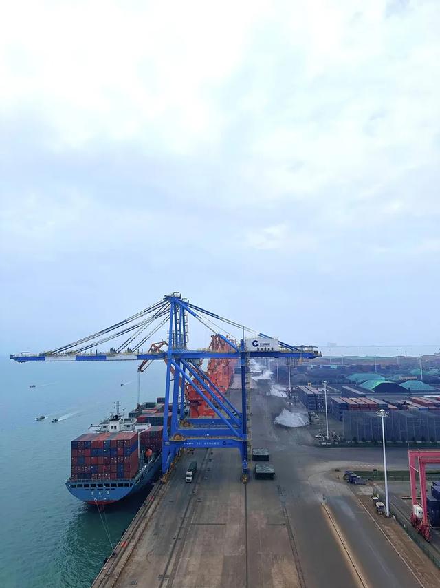 【光芒·追访自然的主角】聆听八桂大地的生态和鸣曲