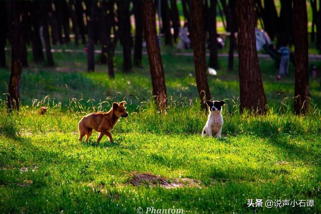 不是劝你节俭，是提醒你：未来三年，没存钱的人会很难