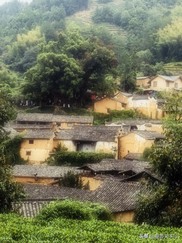 进山寻觅松阳的古村落，结果让我看到了与北方不一样的地方