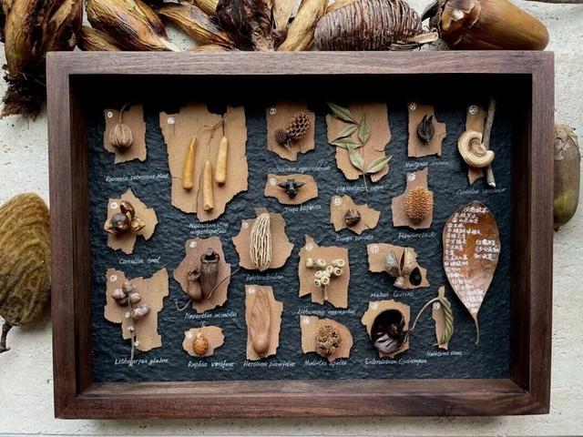 秋假来了！“不知道去哪儿耍”，来新津就对了