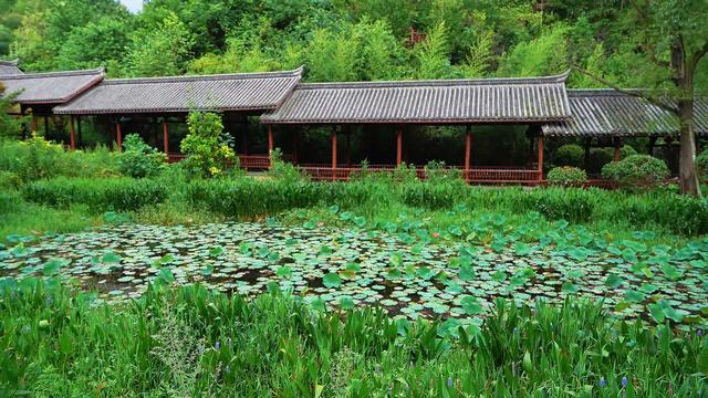 盘州市哒啦仙谷景区：清凉夏日，绿色植物园成为避暑游客热门打卡地