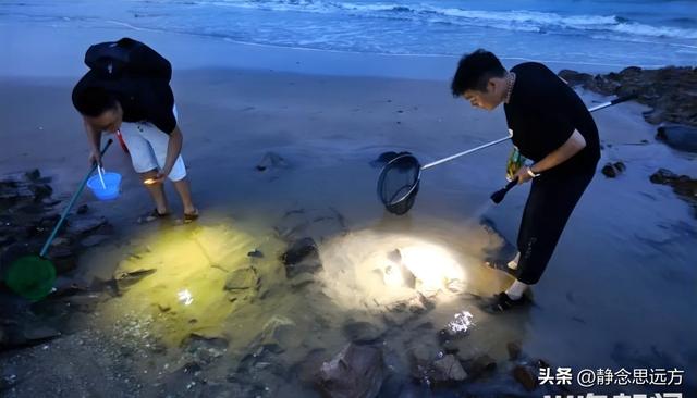 在河南长大的我去了趟山东日照,真羡慕当地人的生活,你们猜为啥