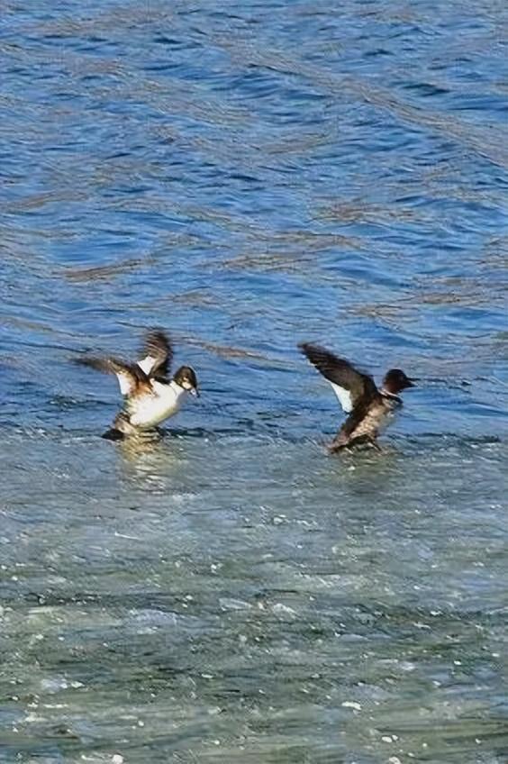 初秋→深秋，昌平这 7 条赏秋线路必冲！（二）