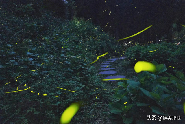 夏末初秋的天台山，看流萤把夏末的尾巴染成碎金