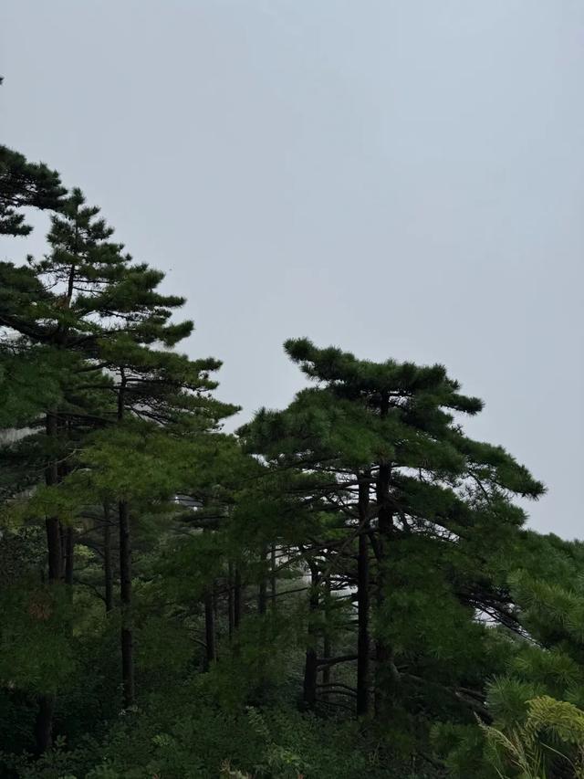 徒步三山五岳：安徽黄山！