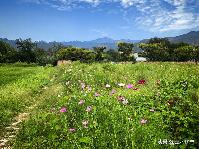在西安最美免费露营地感叹：坡地变梯田，梯田变草原。真是神奇