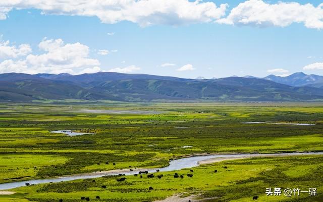 西藏嘎朗湿地：藏东南的隐秘莲花