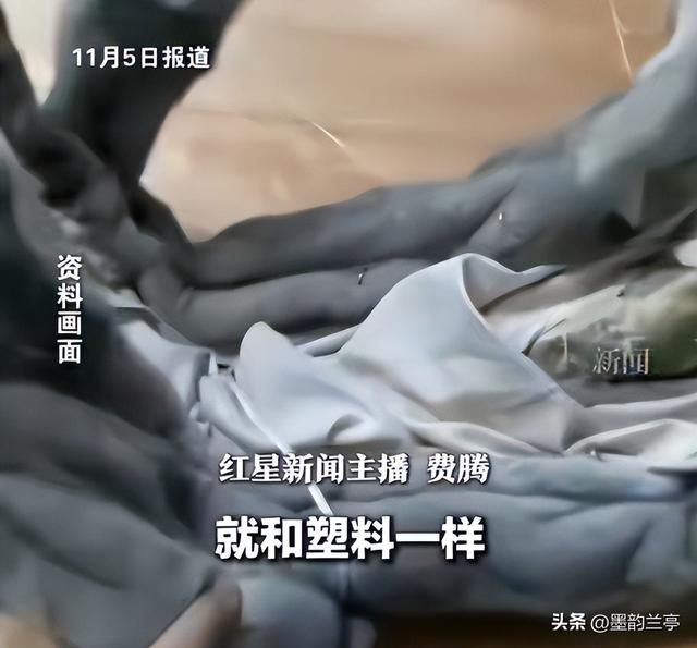 貂皮水洗退货后续：警方介入，宝妈身份被扒彻底社死 商家还有后手