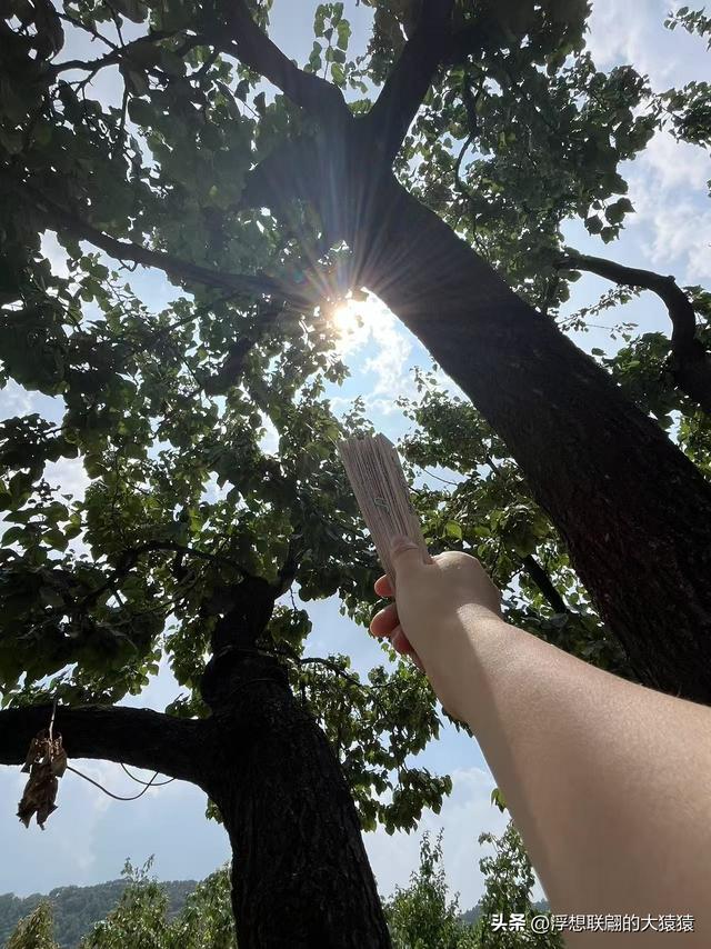 炎炎夏日去泰山西麓曹家庄后山里的隐佛崖打泉水吃炖鸡