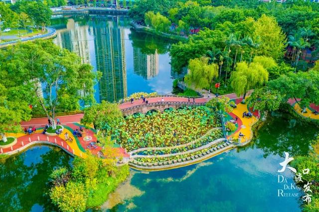 周末不忙,去趟大渡口