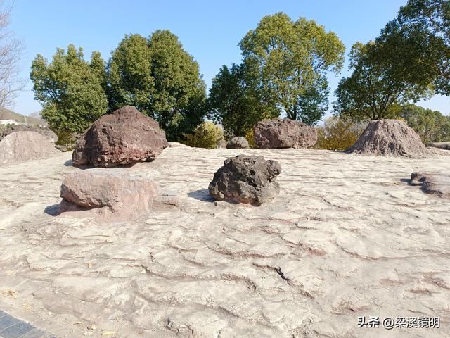 大雪时节，来汤山金乌公园晒暖阳、泡温泉（上）
