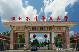 西北农林科技大学2024年录取分数图片