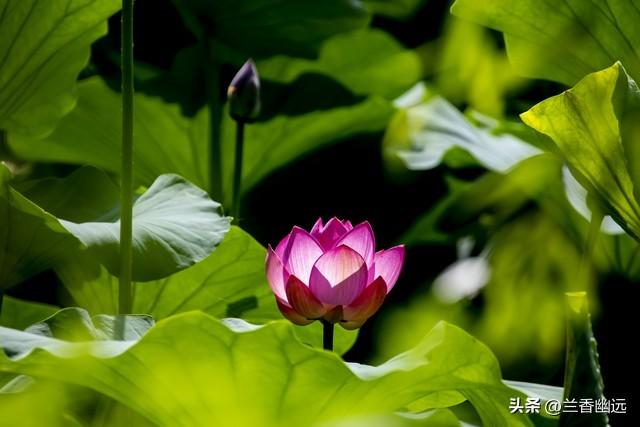 两性关系：为什么65岁后，女人比男人更希望这些，你真的懂吗