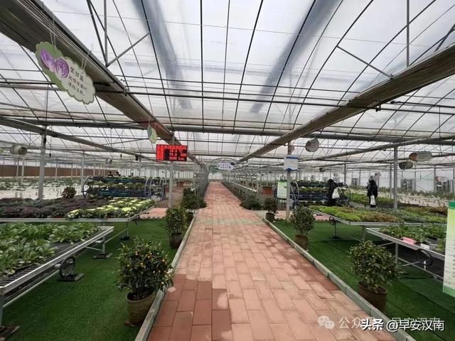 正式开业！汉南又新增一个旅游景区！快来打卡~