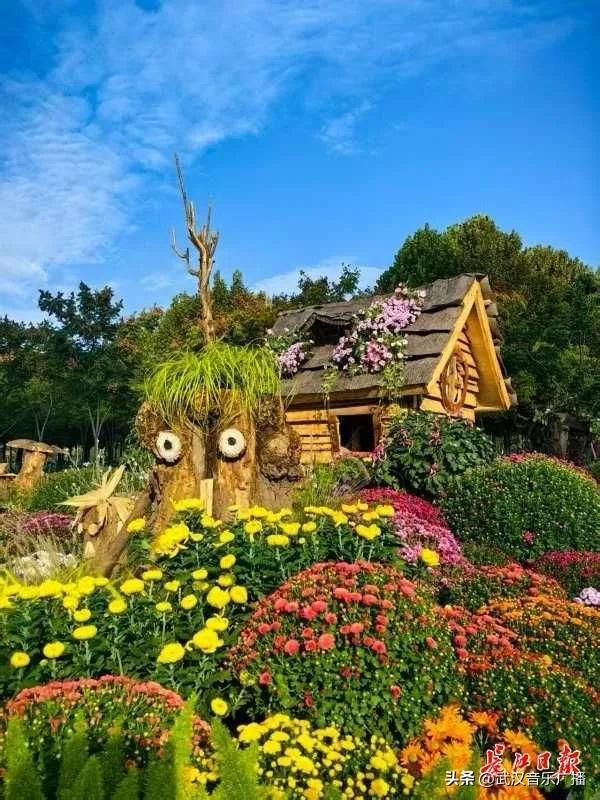 武汉地标纷纷“入景”金秋菊展