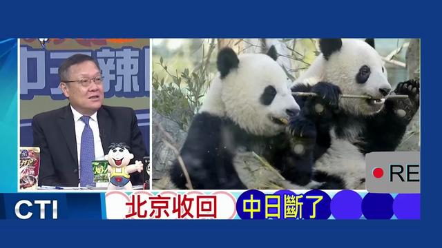 中方将收回日本全部熊猫，高市早苗涉台狂言，弄丢300亿经济效益