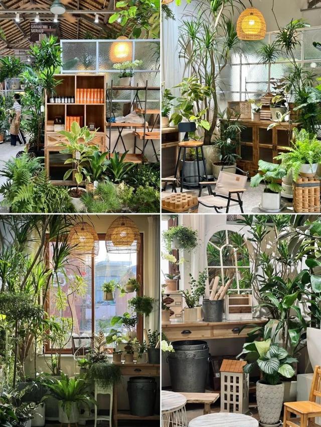 12月5日，江苏十三市齐聚苏州