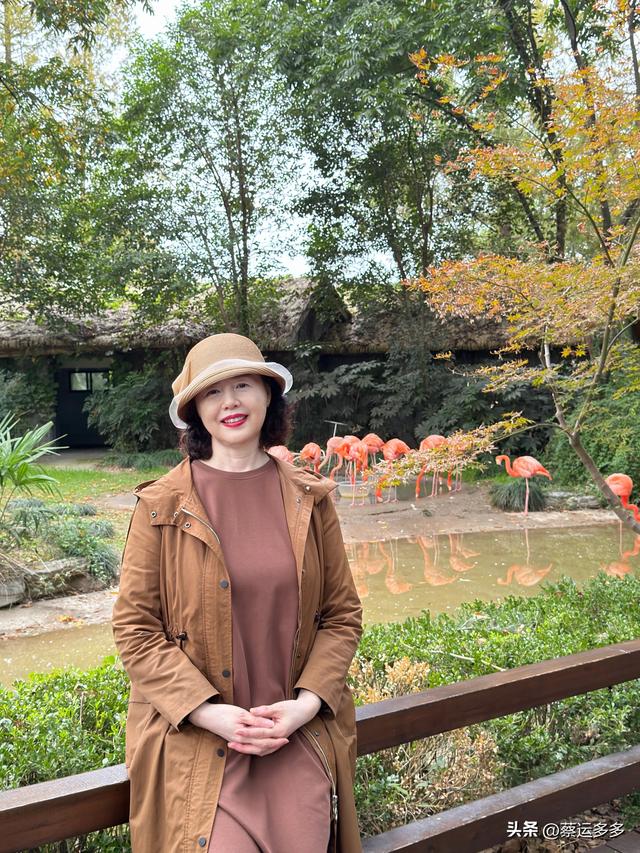 上海动物园的高颜值图鉴