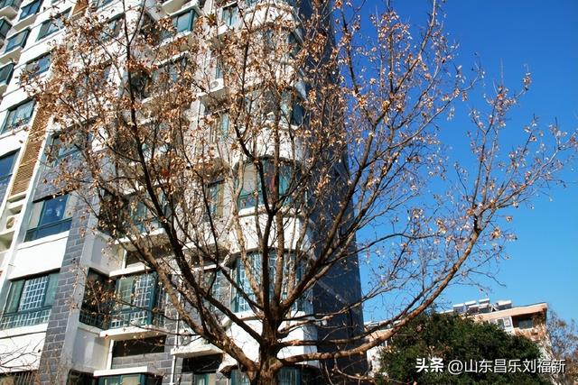 转了一个小圈·及其它