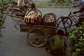 好心收留邻居的表姐，却被她赖上，与她发生一段情图片