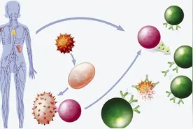 70岁大爷身体健康只因爱吃蒜，吃大蒜好处多，竟然还可以防癌?图片