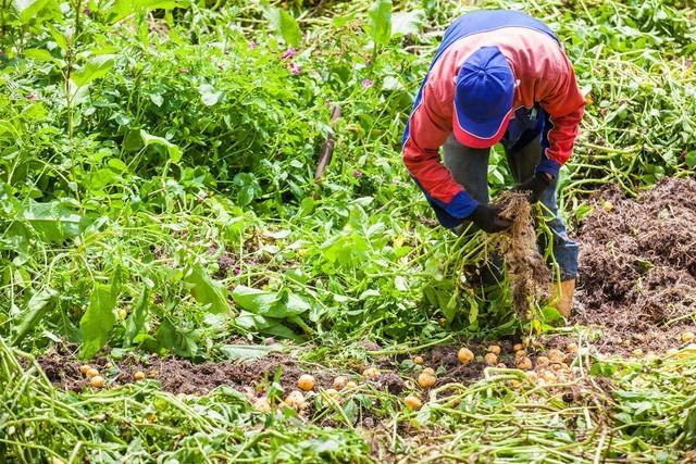 99年网吧通宵，邻座的女孩靠我肩上睡着了，呼吸都喷在我脖子上