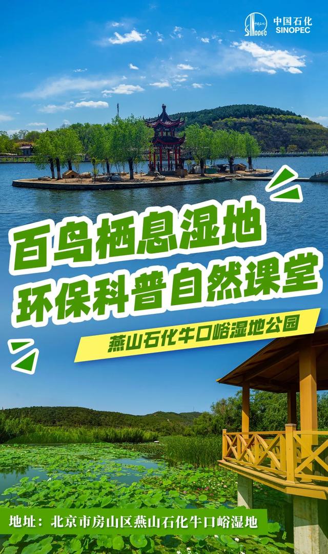 这么近那么美，周末到……中国石化！