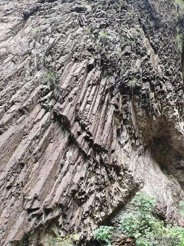 温州高山峡谷隐藏的小众秘境,驴友的瀑降宝藏地!雨后风光绝佳!