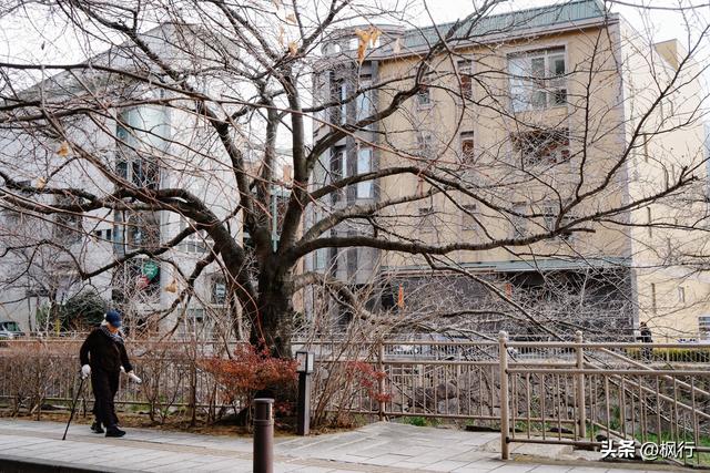 备受欧美游客喜欢的雪国，被我找到了